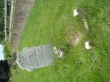 image of grave number 613519